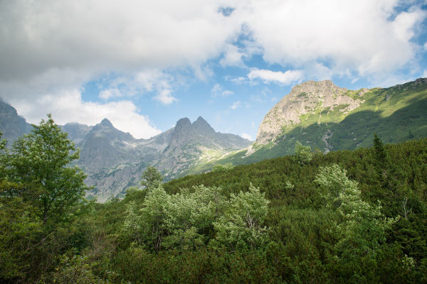 Foggy and cloudy mountains after rain, day with showers, High Tatras Slovakia. Beautiful mountain landscape.