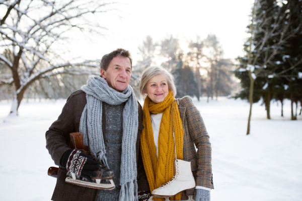 Beautiful senior woman and man in sunny winter nature going ice skating.