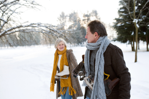 Beautiful senior woman and man in sunny winter nature going ice skating.