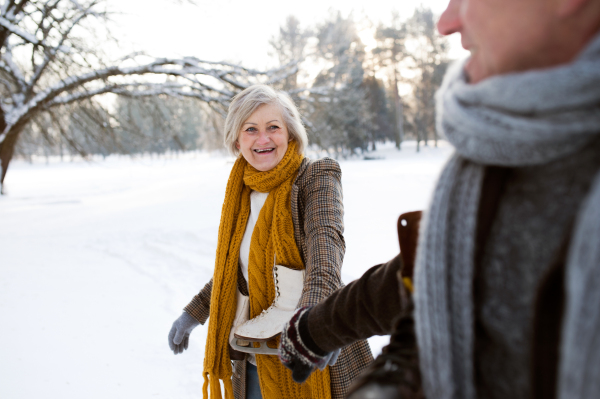 Beautiful senior woman and man in sunny winter nature going ice skating.