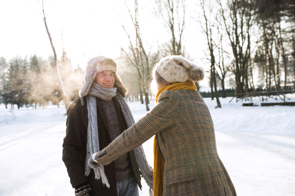 Beautiful senior woman and man in sunny winter nature ice skating.