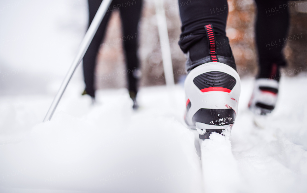 Legs of unrecognizable active couple cross-country skiing. Winter time. Rear view.