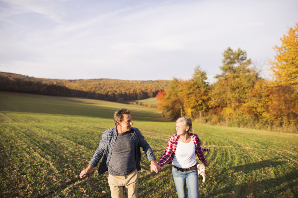 Active senior couple on a walk in a beautiful autumn nature, holding hands.