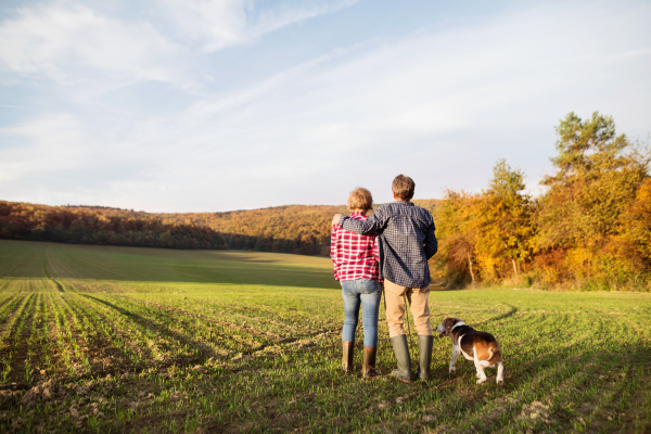 Active senior couple with dog on a walk in a beautiful autumn nature. Rear view.