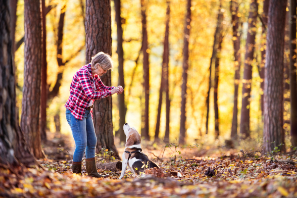 Active senior woman with dog on a walk in a beautiful autumn forest.