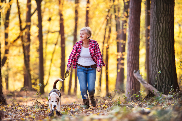 Active senior woman with dog on a walk in a beautiful autumn forest.