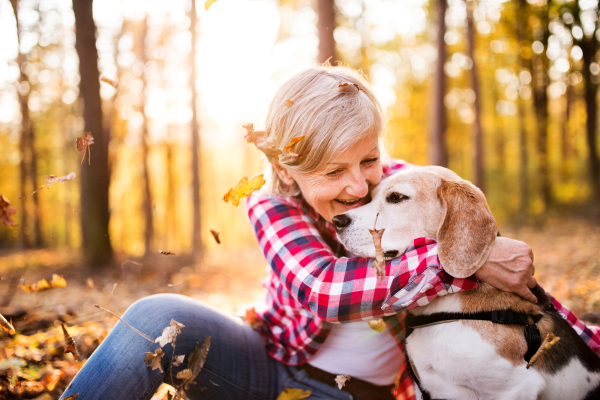 Active senior woman with dog on a walk in a beautiful autumn forest.