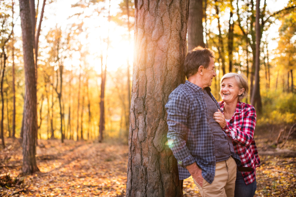 Active senior couple on a walk in a beautiful autumn forest.