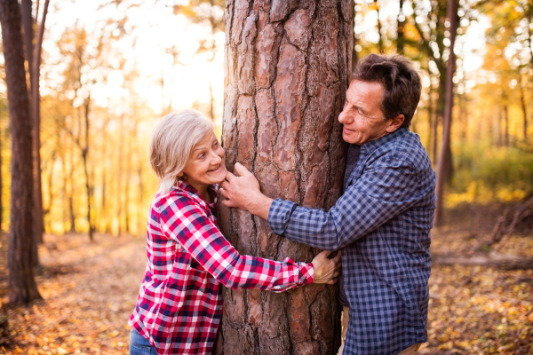 Active senior couple on a walk in a beautiful autumn forest.