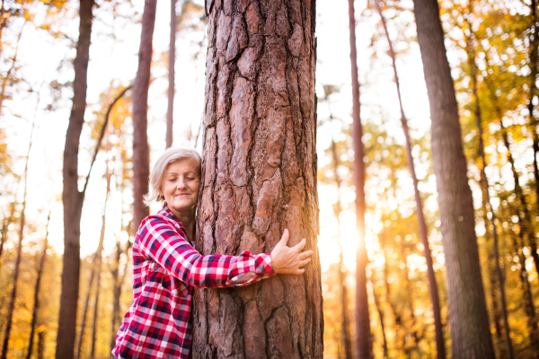 Active senior woman on a walk in a beautiful autumn forest. Tree hugger.