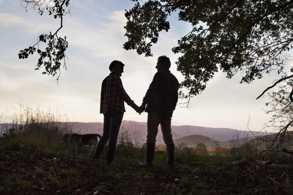 An active senior couple with a dog on a walk in a forest in the evening, holding hands.