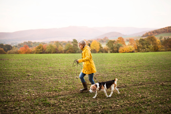 Active senior woman with dog on a walk in a beautiful autumn nature.