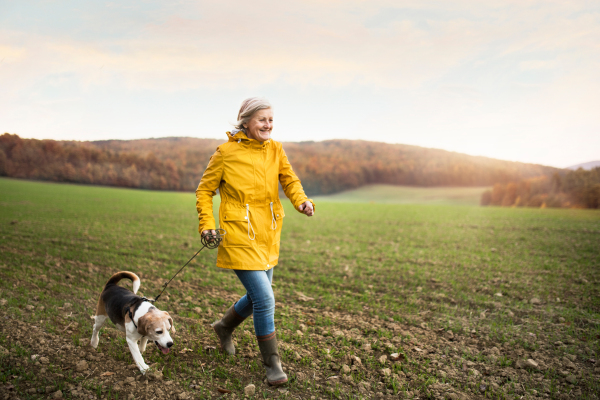 Active senior woman with dog on a walk in a beautiful autumn nature.