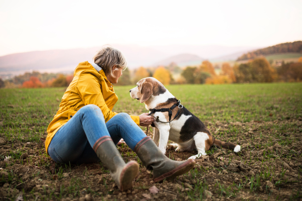 Active senior woman with dog on a walk in a beautiful autumn nature.