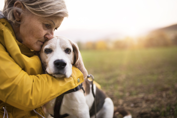 Active senior woman with dog on a walk in a beautiful autumn nature.