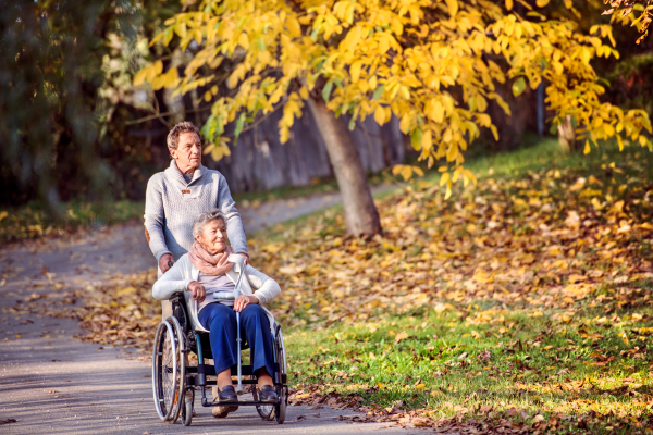 Senior man and elderly woman in wheelchair in autumn nature. Man with his mother on a walk.