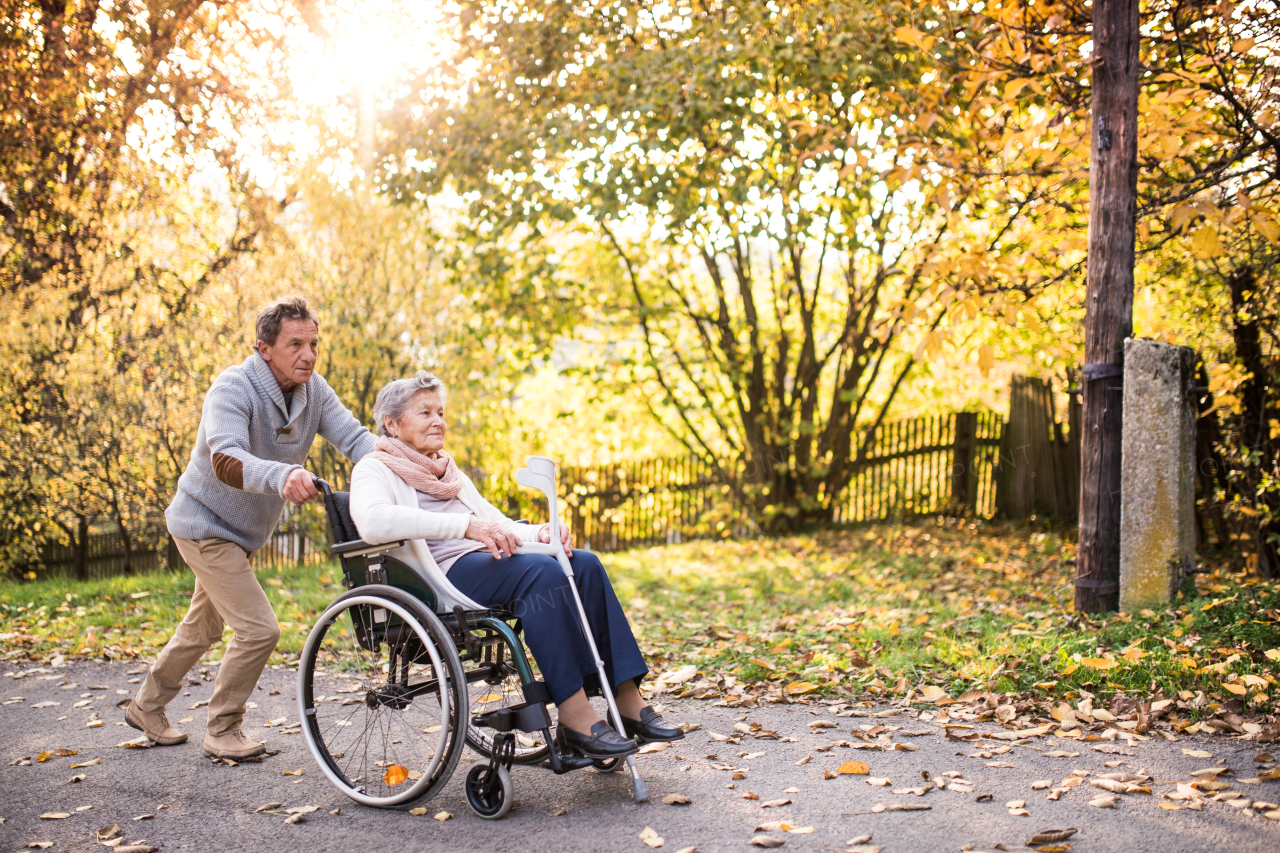 Senior man and elderly woman in wheelchair in autumn nature. Man with his mother on a walk.