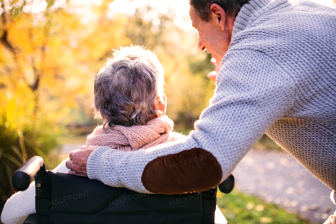 Senior man and elderly woman in wheelchair in autumn nature. Man with his mother or a wife on a walk. Rear view.