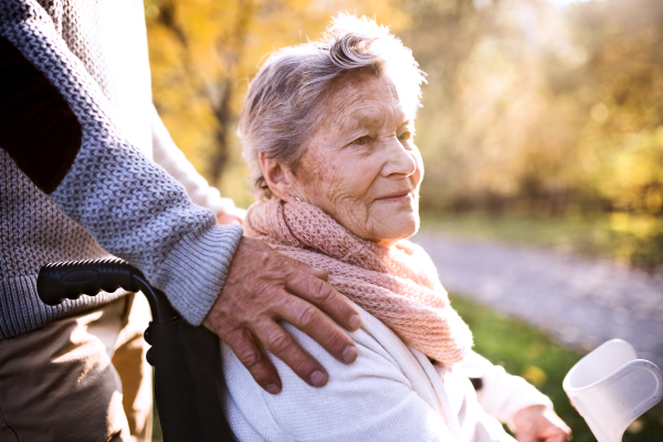 Senior man and elderly woman in wheelchair in autumn nature. Unrecognizable man with his mother on a walk.