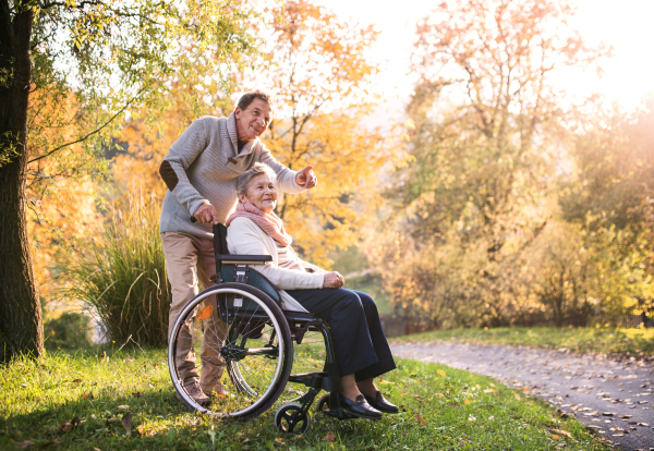 Senior man and elderly woman in wheelchair in autumn nature. Man with his mother on a walk.