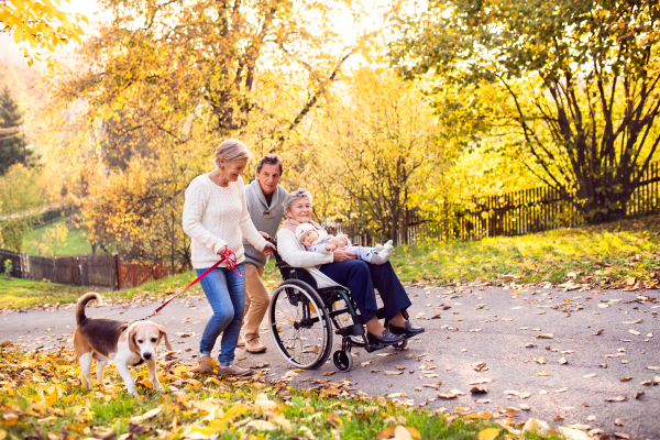 Senior couple with a dog and elderly woman in wheelchair holding a baby. An extended family on a walk in autumn nature.