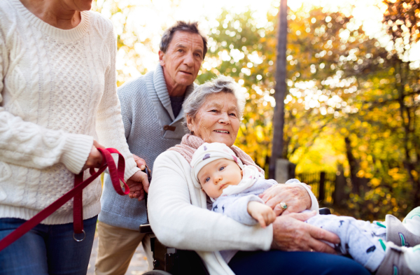 Senior couple with a dog and elderly woman in wheelchair holding a baby. An extended family on a walk in autumn nature.