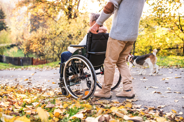 Senior man and elderly woman in wheelchair in autumn nature. Unrecognizable man with his mother on a walk.