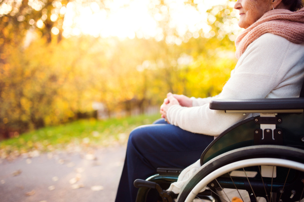 Unrecognizable elderly woman in wheelchair in autumn nature. Senior woman on a walk.