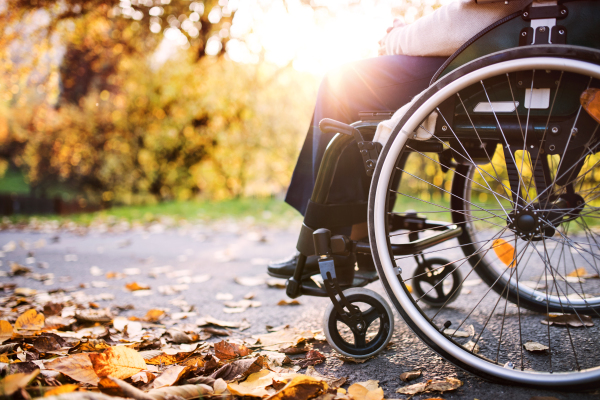 Unrecognizable elderly woman in wheelchair in autumn nature. Senior woman on a walk.