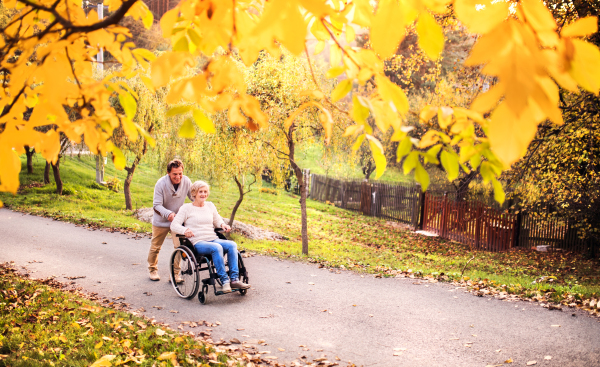 Senior couple in autumn nature. Man and woman in a wheelchair on a walk.