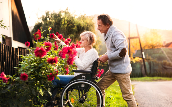 Senior couple on a walk. Senior man pushing a woman in a wheelchair on the village road. A disabled woman looking at flowers.