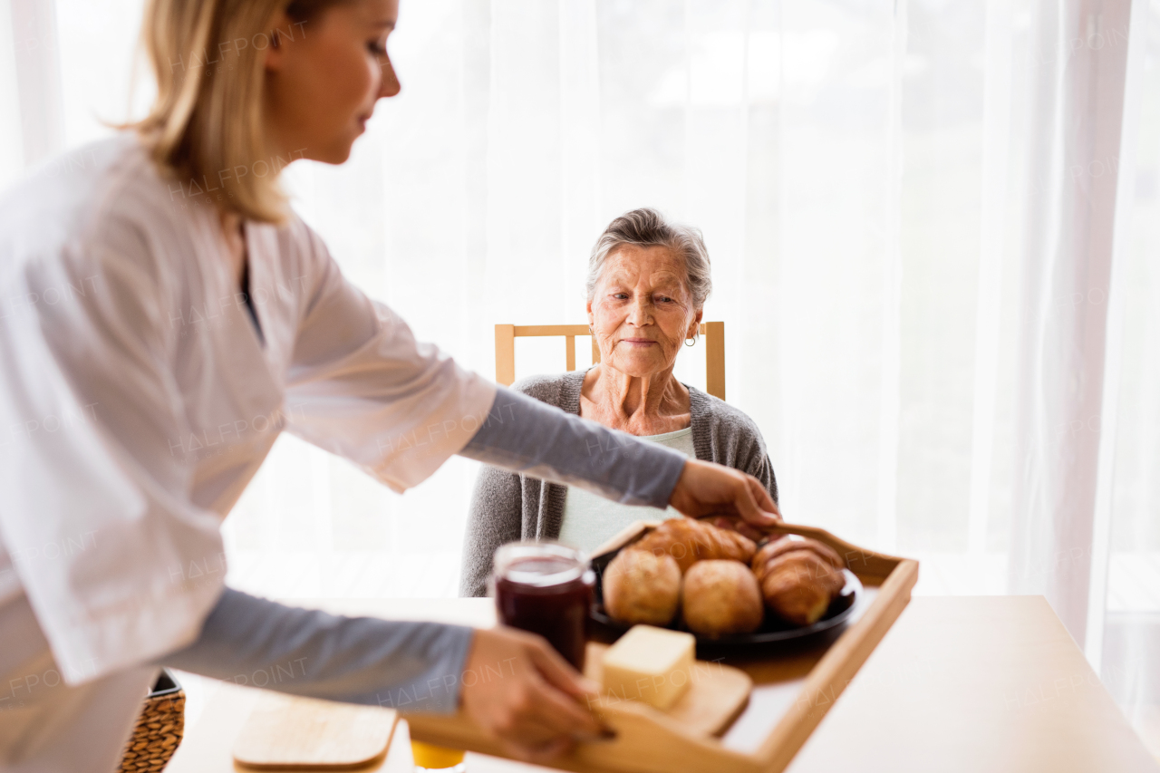 Health visitor and a senior woman during home visit. A nurse bringing food to an elderly woman sitting at the table.