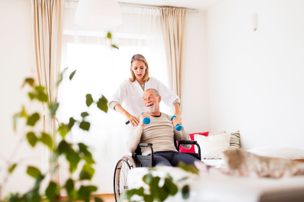 Health visitor and a senior man in a wheelchair during home visit. A nurse or a physiotherapist helping a senior man exercise with dumbbells.