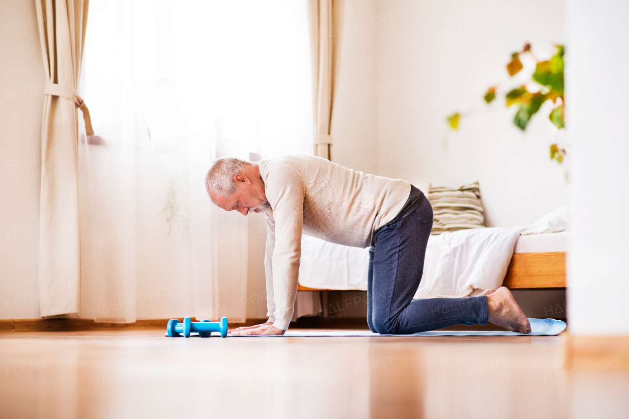 Active senior man doing exercise at home.