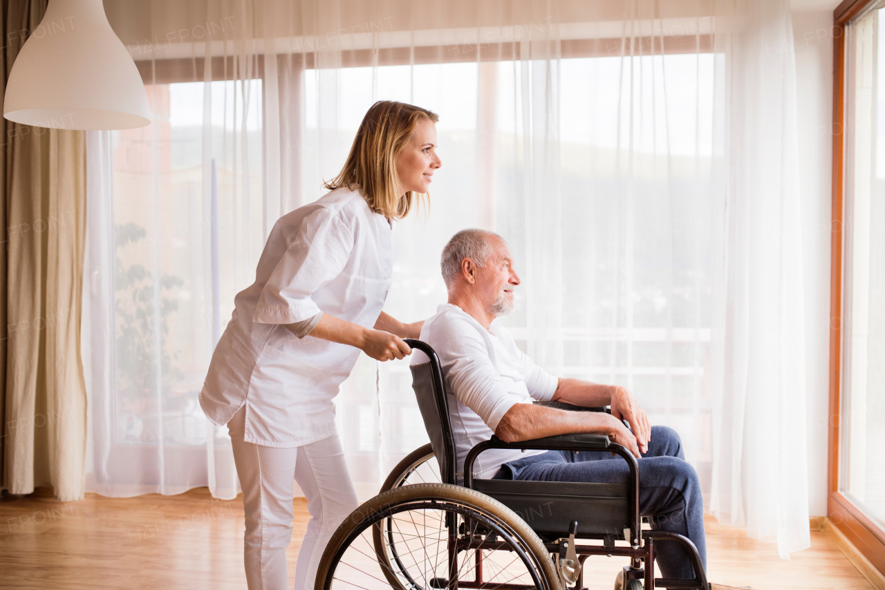 Health visitor or a nurse and a senior man in a wheelchair during home visit. Man and woman looking out of a window.