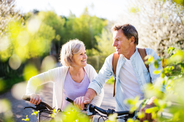 Beautiful senior couple with bicycles outside in spring nature under blossoming trees.