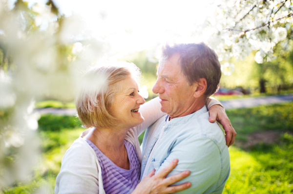 Beautiful senior couple in love outside in spring nature under blossoming trees, hugging.