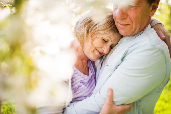 Beautiful senior couple in love outside in spring nature under blossoming trees, hugging.