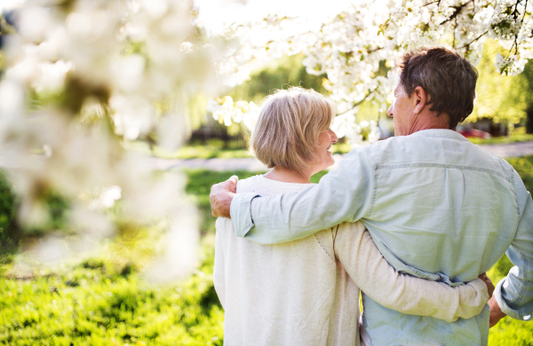 Beautiful senior couple in love outside in spring nature under blossoming trees. Rear view.