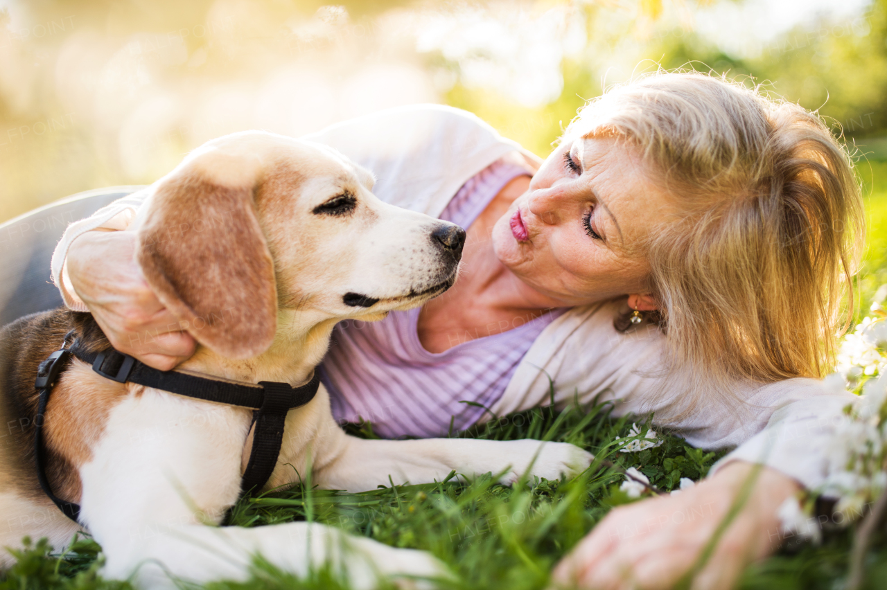 Beautiful senior woman with a dog lying down on a grass outside in spring nature.