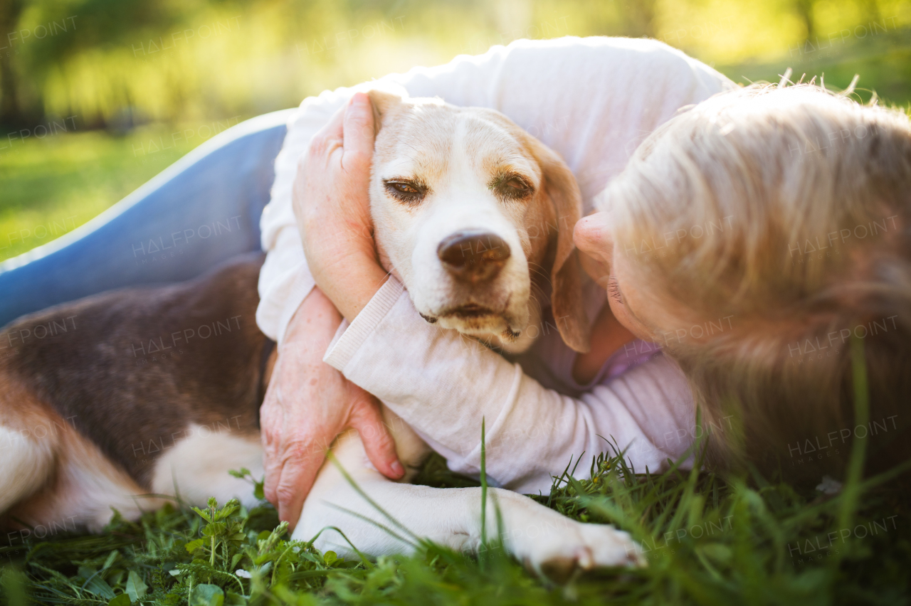 Unrecognizable senior woman with a dog lying down on a grass outside in spring nature.