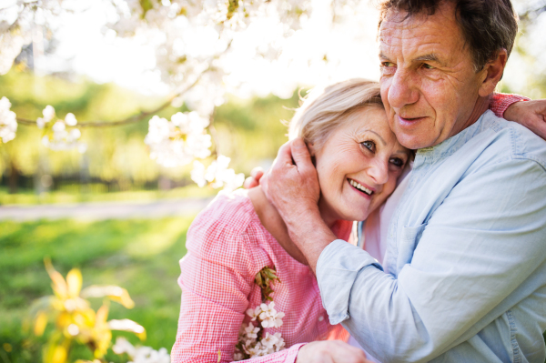 Beautiful senior couple in love outside in spring nature under blossoming trees, hugging.