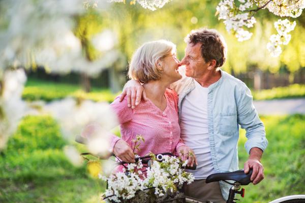 Beautiful senior couple with bicycles outside in spring nature under blossoming trees. Man and woman in love.