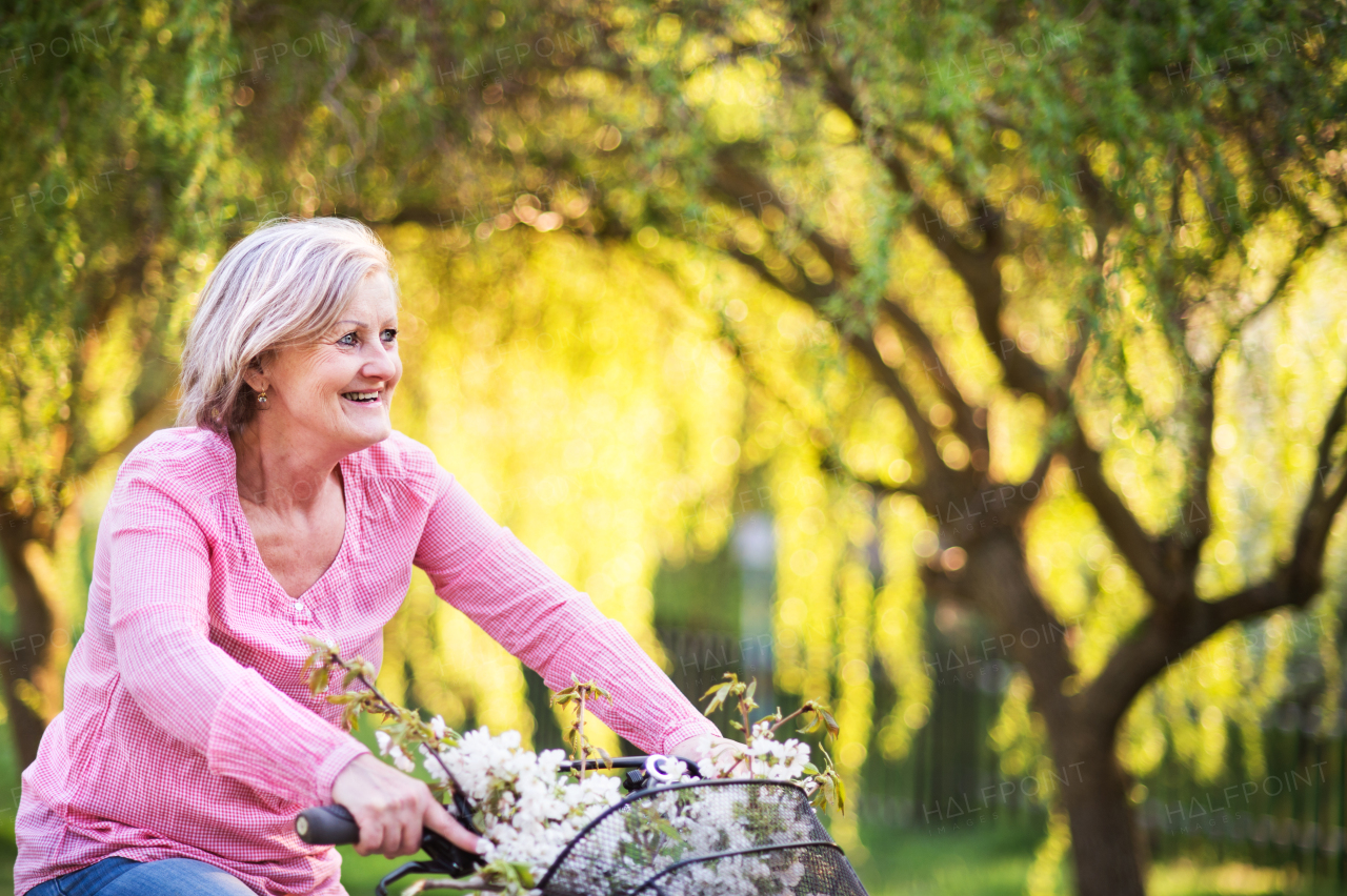 Beautiful senior woman with bicycle cycling outside in spring nature.