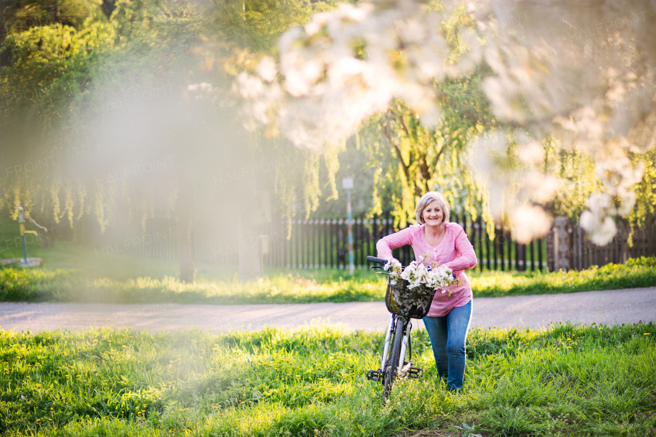 Beautiful senior woman with bicycle outside in spring nature, resting.