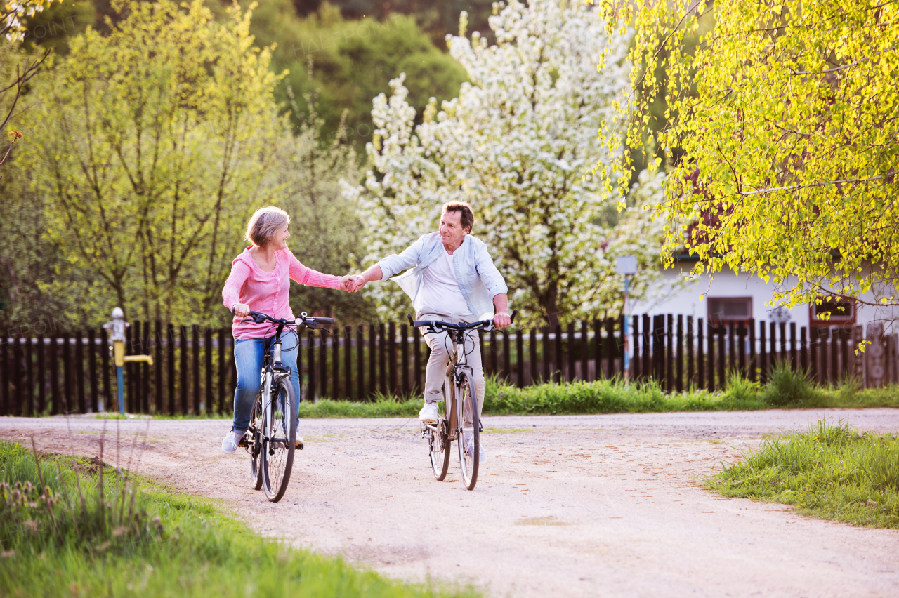 Beautiful senior couple with bicycles outside in spring nature cycling and holding hands.