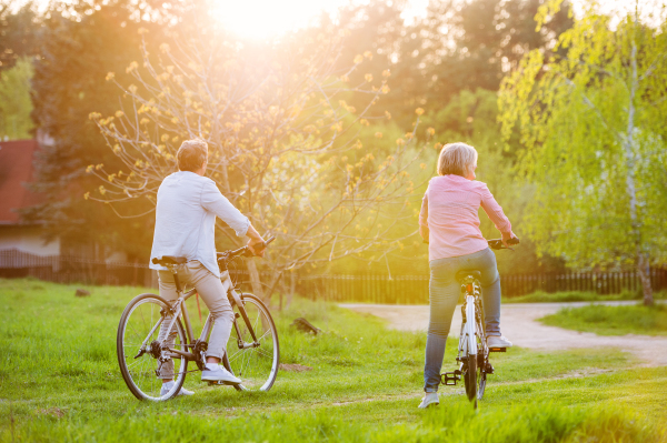 Beautiful senior couple with bicycles outside in spring nature cycling. Rear view.