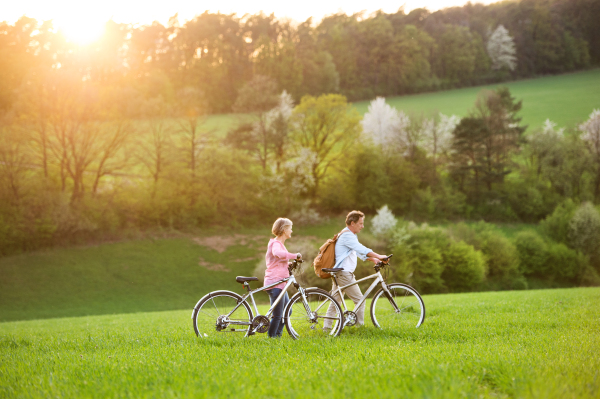 Beautiful senior couple outside in spring nature, walking with bicycles on grassland.