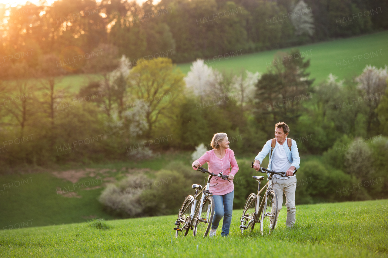 Beautiful senior couple outside in spring nature, standing with bicycles on grassland.