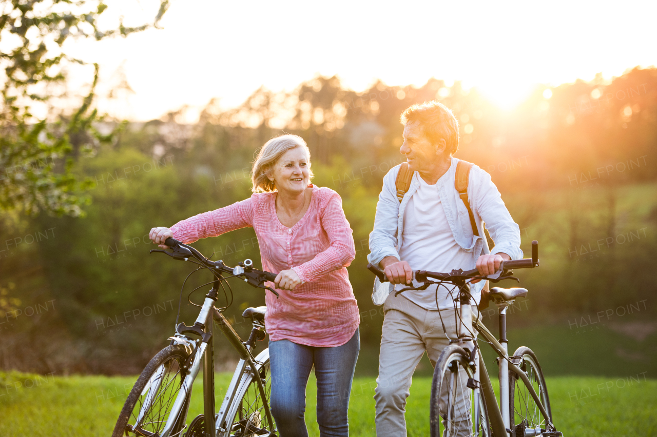 Beautiful senior couple outside in spring nature, walking with bicycles on grassland.